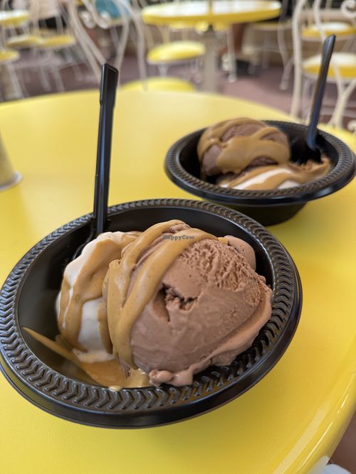Plant based Vanilla and Chocolate ice cream with peanut butter sauce  at Plaza Ice Cream Parlor in Florida