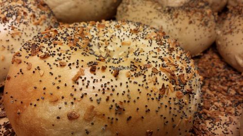 All the bagels (except for the egg ones) are vegan! at Tabor Bagels in Morris Plains
