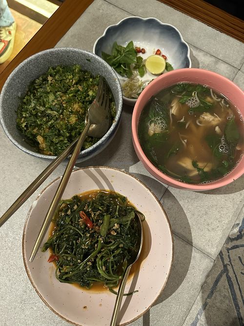 My food, spinach fried Rice and stir fried morning glory  at VietNom Saket in New Delhi
