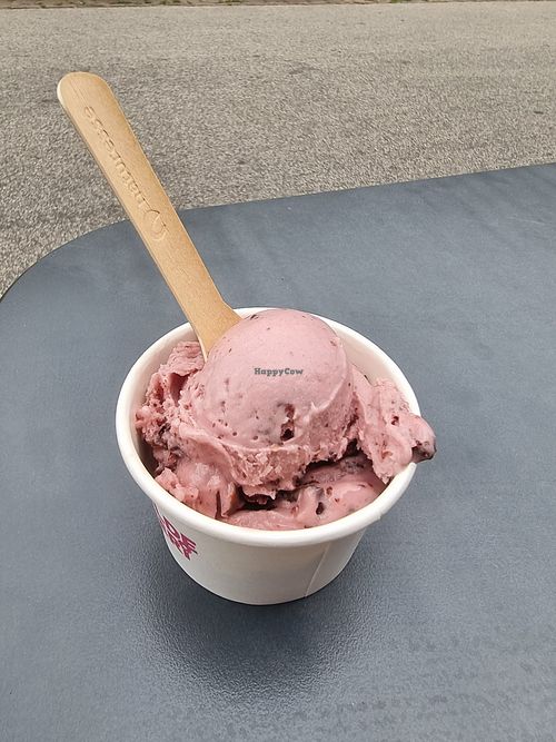 Vegan amarena chocolate at Roskilde Ismejeri and Iscafe in Roskilde