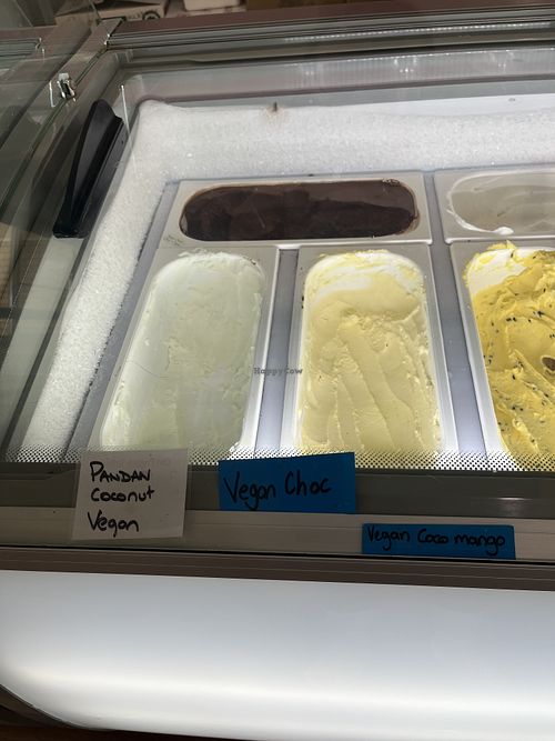 Vegan ice creams  at The Milkyway Kalbarri in Kalbarri