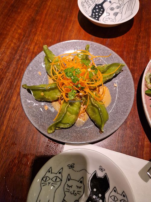 Vegan gyoza at Neko Neko in Newtown