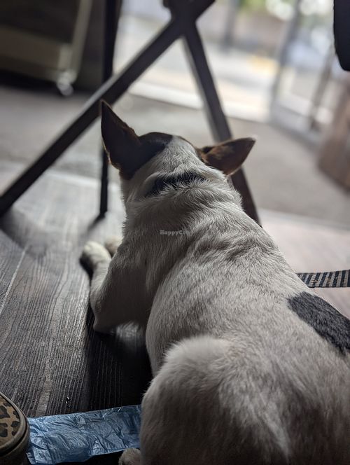  at Ground in Virginia