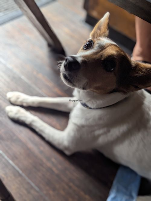  at Ground in Virginia