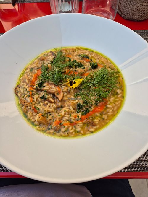 mushroom risotto at da Noi in Sankt Gallen