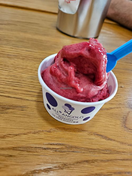 🫐🍓very sweet at Gelateria All'angolo in Veneto