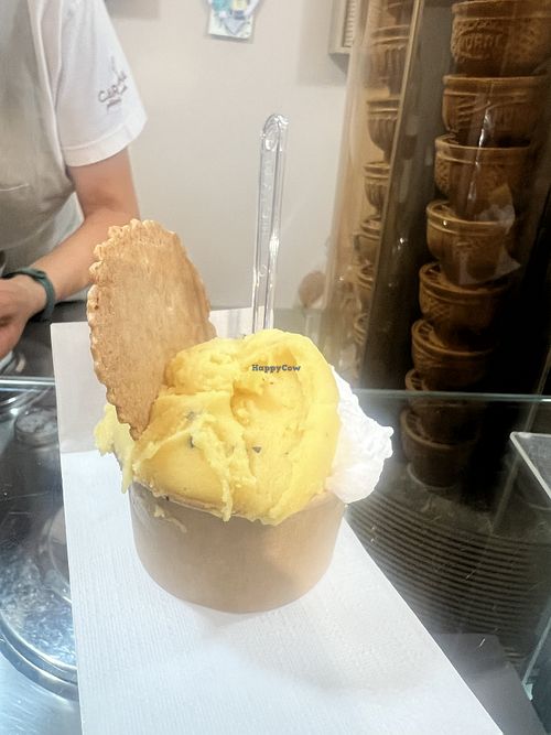 Yogurt and passion fruitt  at Carapina in Pescara