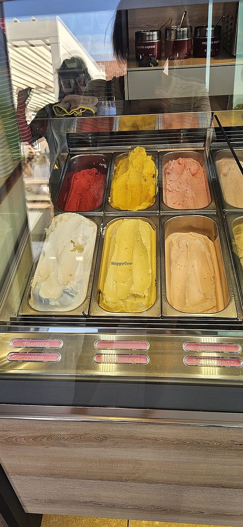 Selection sorbets  at Limone in Sint-truiden