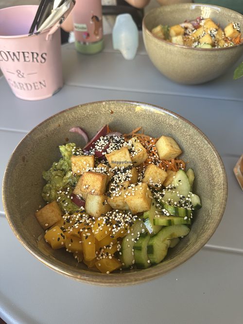 Poke bowl  at Monkey Bowl Murten in Freiburg