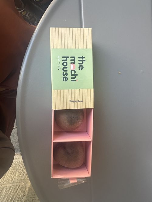 Moki   at Monkey Bowl Murten in Freiburg