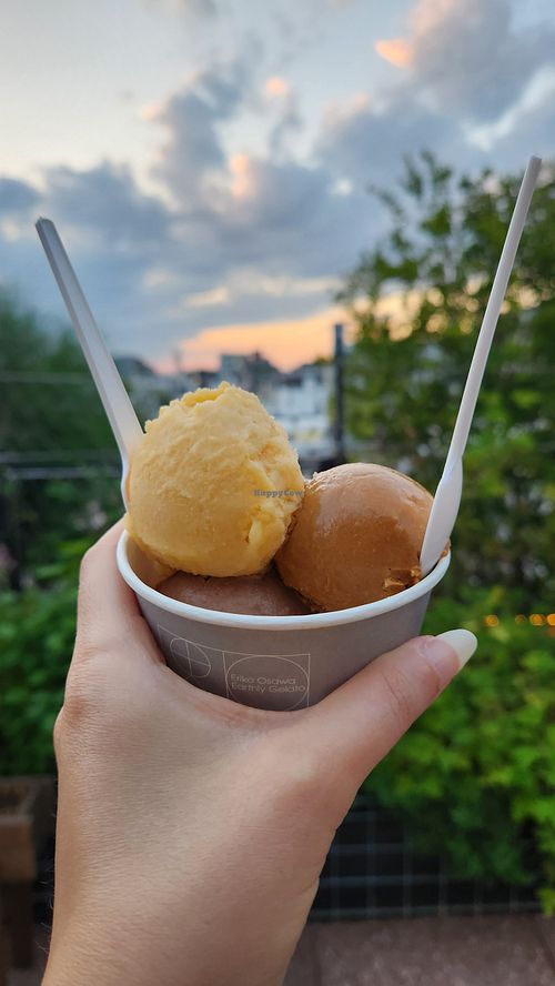  at Eriko Osawa Earthly Gelato  in Tokyo