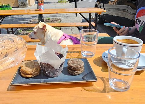  at Cantine Panella in Montreal