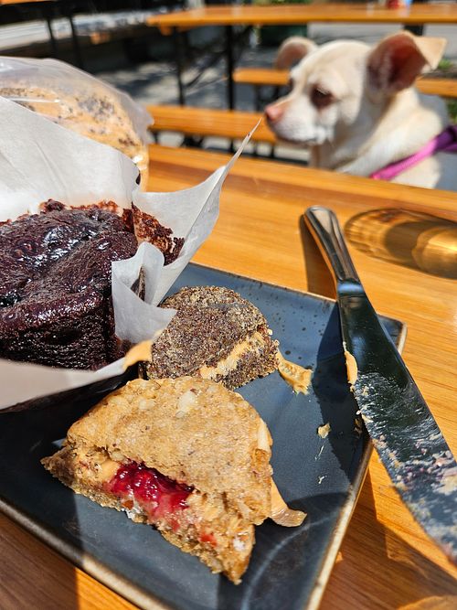  at Cantine Panella in Montreal