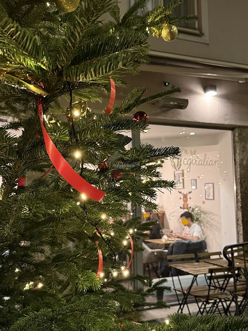 front  at Vegitalian in Salzburg