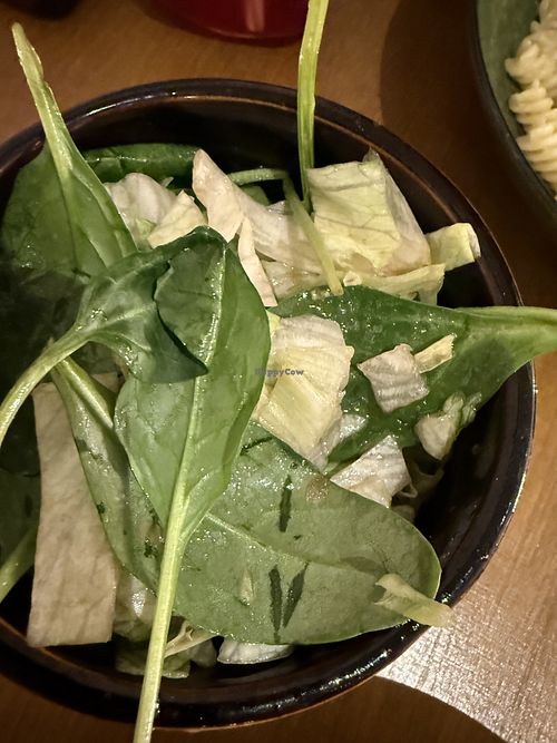 side salad  at Vegitalian in Salzburg
