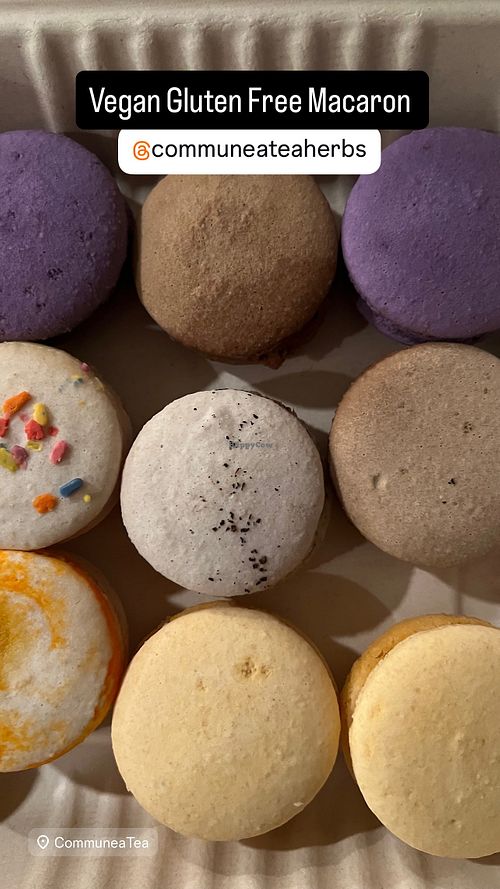 Vegan macaron in do many beautiful colors and flavors everyday! at Commune à Tea: Herbal Shoppe & Café in Laconia