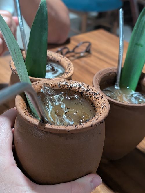 Alles super! at La Mexiquense Holbox in Holbox