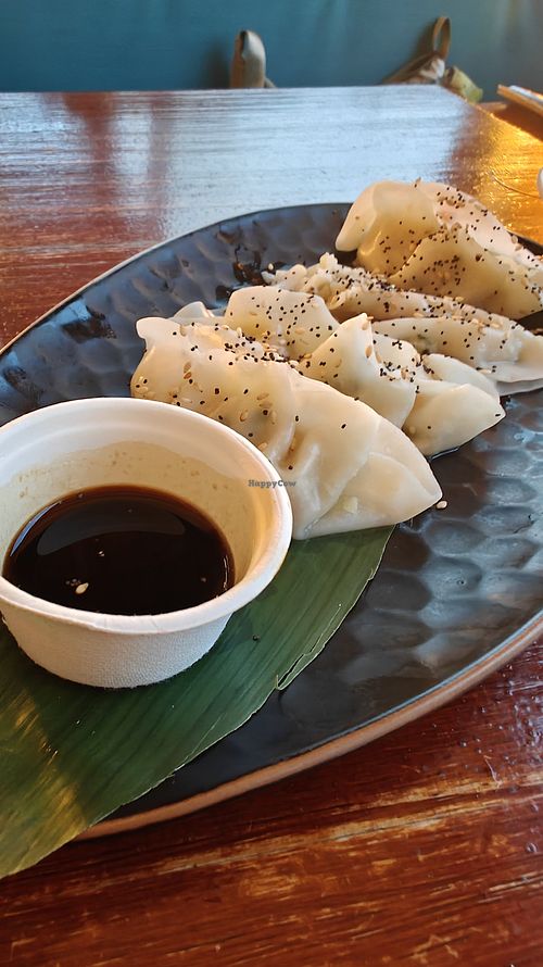 Vegetable gyozas at Buffala L’Escala in Cataluña