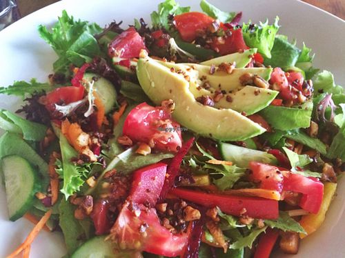 big salad (vegan) at Leaf Eaters Cafe in Bocas Del Toro