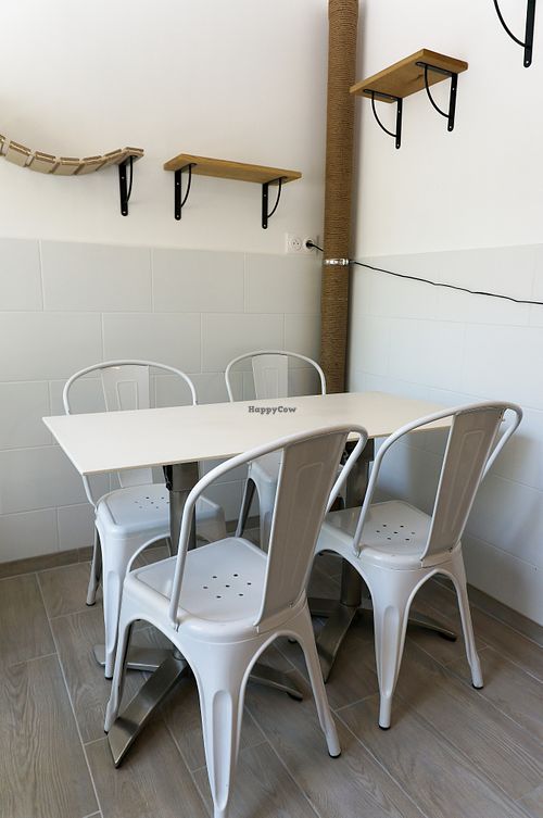 Eat-in space at Chat-Rivari Café in Paris