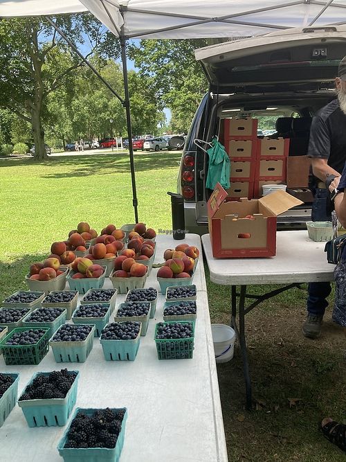 Fruit vendor at Mentor Farmers Market in Mentor