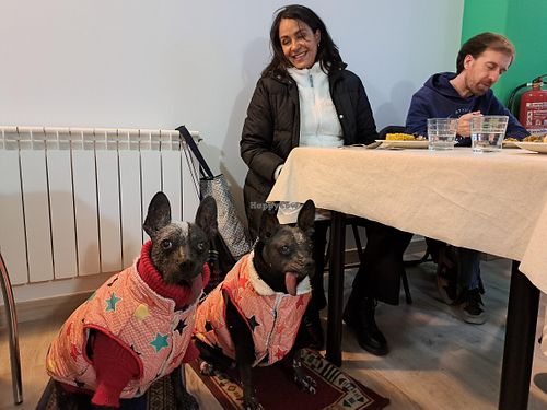 Well educated pets are welcome. at Baratza Kafea in Pamplona