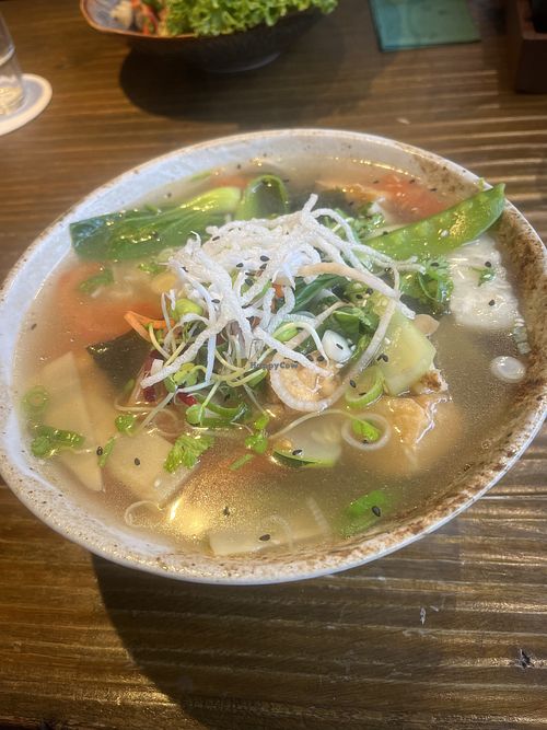 V11   at Silky Vegetarian in Dresden