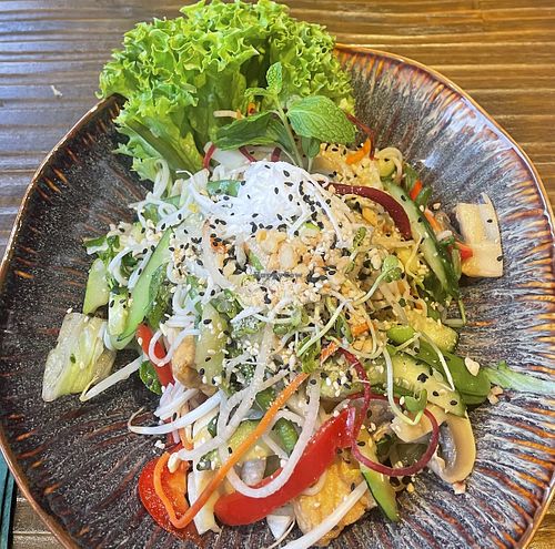 V6    at Silky Vegetarian in Dresden