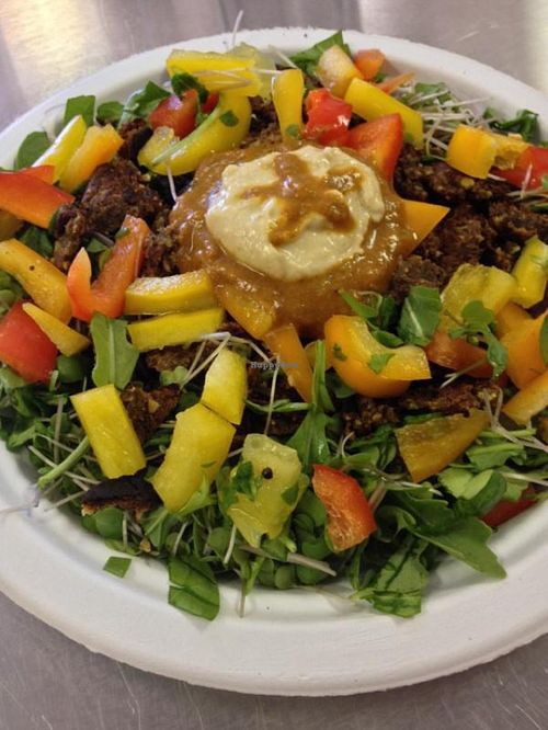 Vindy Jewels Patty has chai masala spice, black mission figs, raw pistachios,Iss' Magic Mixes & black lentils. This patty with eggplant hummus, vindaloo sauce, yellow tomato, red kale sprouts can be served with a sprouted bun or on a bed of greens at Iss' Magic Mixes Oatmeal Cafe in Mesa