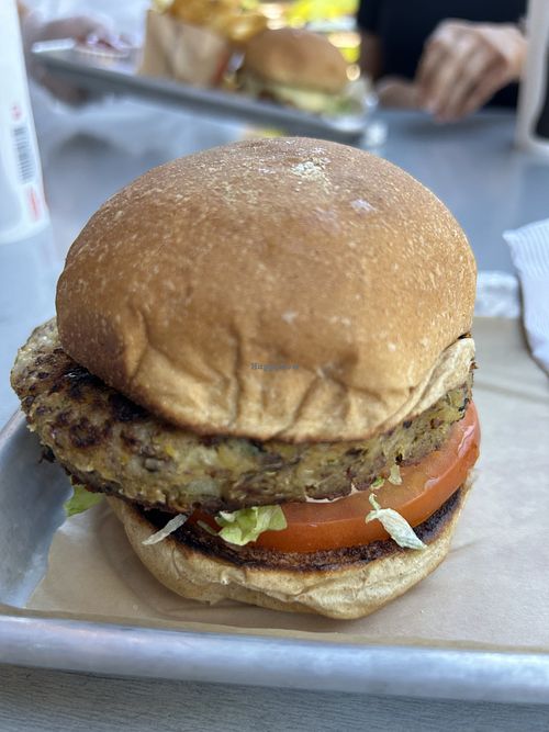 Ancient grain burger without 1000 island sauce   at Burger Lounge in Roseville