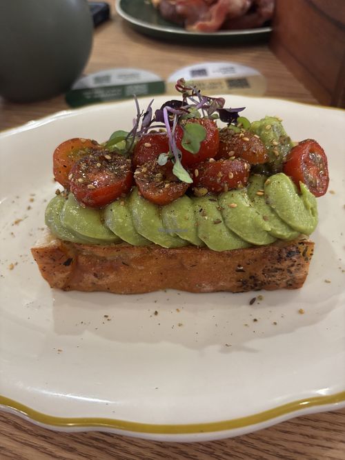   at CHC - Fern & Co. in Christchurch