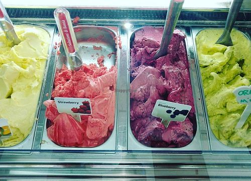 sorbet at A Little Gelato&Bakery in Durham