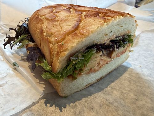 E WASHINGTON   at The Local - Petaluma in Petaluma