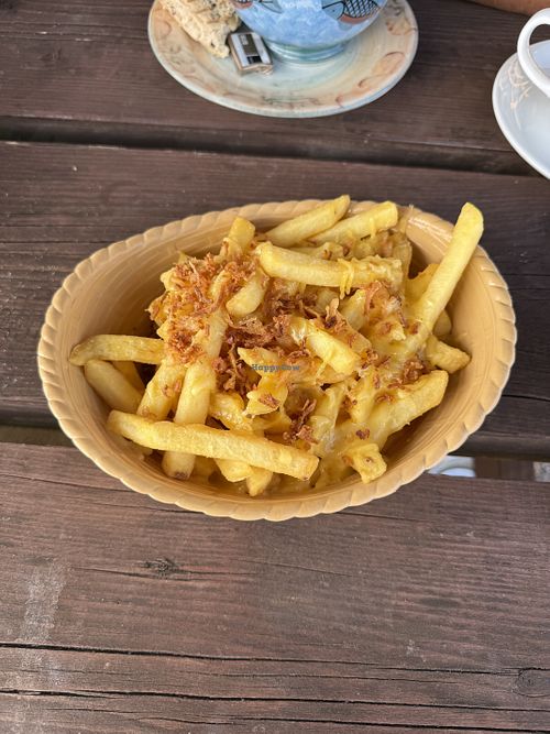 Loaded Fries with vegan cheese and crunchy onionns  at Seaboard Centre in Tain