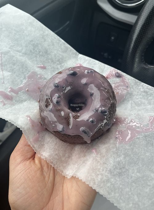 Vegan Blueberry Chocolate   at Parlor Doughnuts in Pleasant Grove