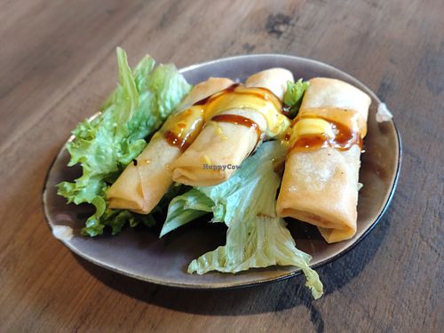 During lunch time you either get free spring rolls (like me) or a spice soup for free
It's your choice! at Hoi an in Baden-württemberg