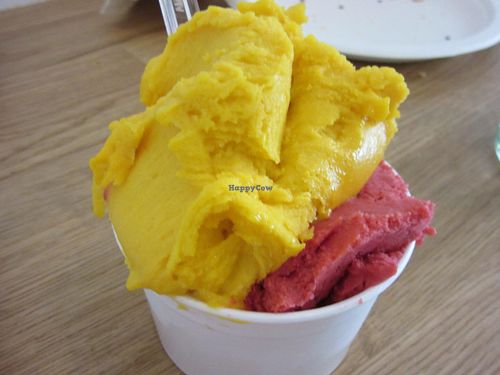 vegan icecream at CamBio Vita in Rome