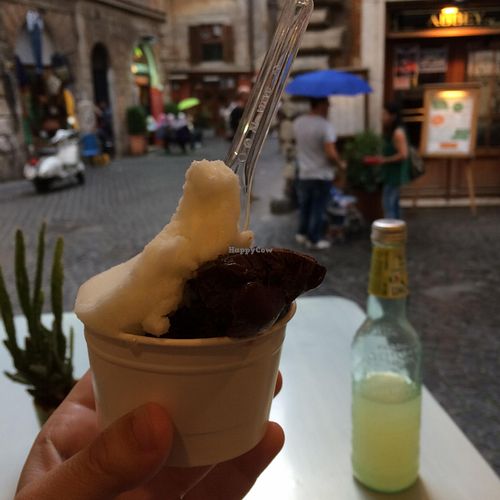 Vegan Gelato (lemon and chocolate) at CamBio Vita in Rome