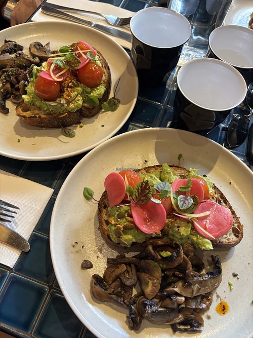Avo on sourdough with mushroomss  at Reuben Hills in Surry Hills