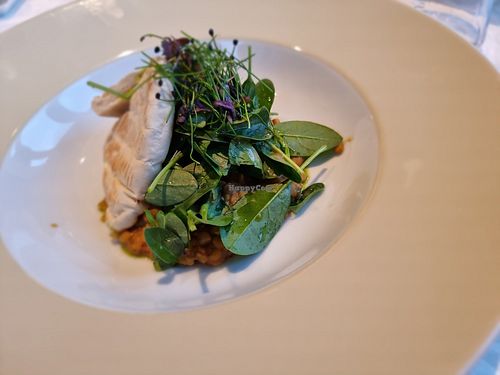  at Hotel Steiner in Salzburg