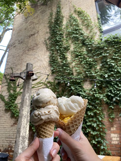 Left: maple and waffle cone. Right: dark & stormy and mango. All vegan  at Willard’s Ice Cream: The Second Scoop in Hamilton