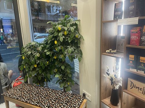 Cute sitting corner  at Dolcino Street Coffee in Grad Beograd