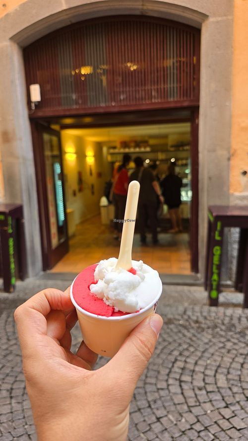 Lemon, raspberry at Gelateria II Gelato Di Pasqualetti in Umbria