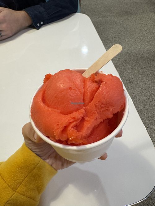 My vegan strawberry sorbet  at Screamers Ice Cream Cafe in Radium Hot Springs