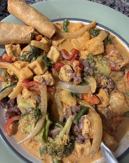Panang Curry w/brown rice & Spring Rolls  at Thailicious in Poughkeepsie