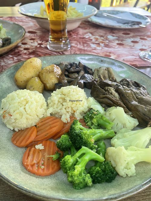 Vegetarian meal (which we were told is actually vegan)  at Restaurant Ostrovo in Municipality Of Ohrid