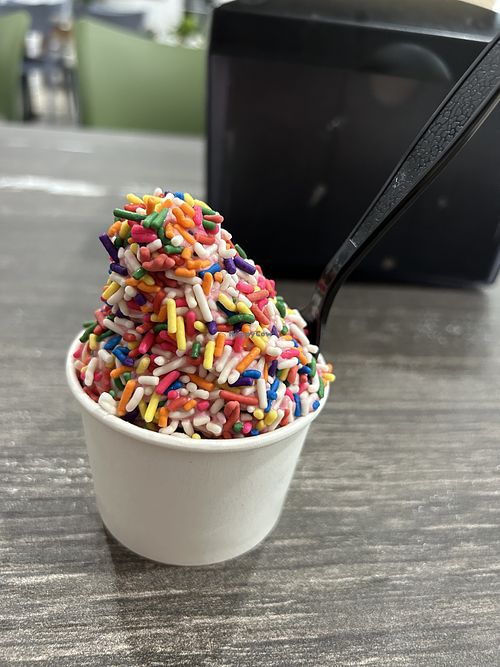 Vegan vanilla ice cream with kookaberry and sprinkles  at Keyz New Zealand Style Ice Cream in Nags Head