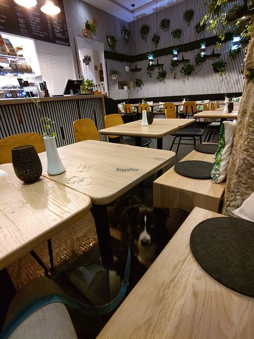 Interior at Mixto Verde Pizzeria Cafe in Bayern