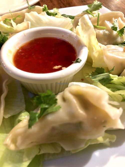 Vegan dumplings  at Thai Vegan - Marina in Marina Del Rey