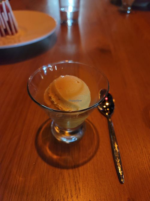 Parcha (passion fruit) sorbet at lala Puerto Rico in Sabana Llana Norte